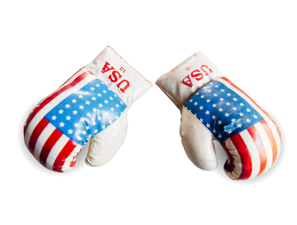 USA Boxing Gloves